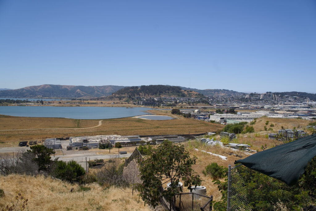 By Alex Griffith housing, from Hunters Point, looking at UCLF lab